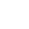 Professional technical guidance